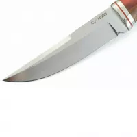 ��� ���� ����� N690